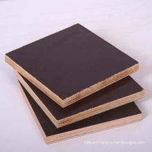 18mm Black Color Film Faced Plywood with Good Price